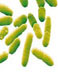 微型光譜儀助力食品安全檢測
